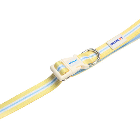 Pattern Leash