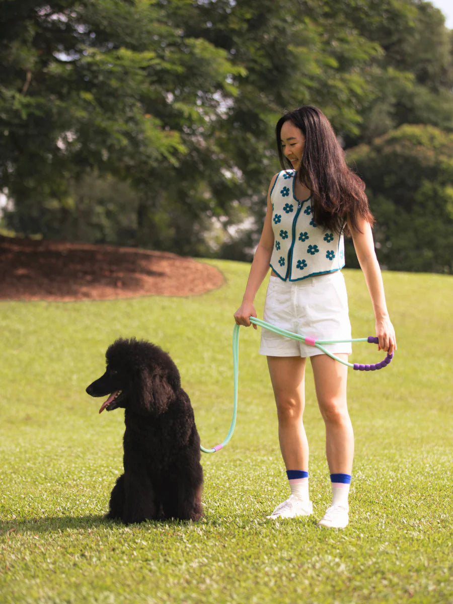 Bubble Leash - Standard