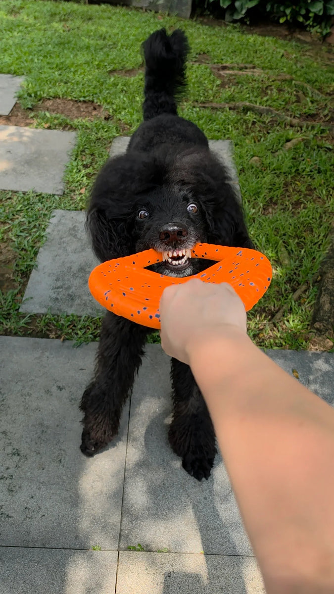UltraFlex Double Ring Dog Toy