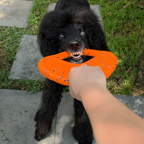 UltraFlex Double Ring Dog Toy