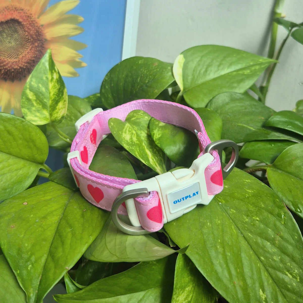 Multifunction Water Resistant Dog Collar