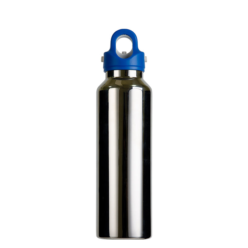 RevoMax- 20oz Bottle-GalaxySilver