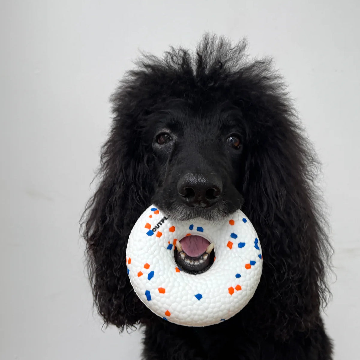UltraFlex Donut Dog Toy