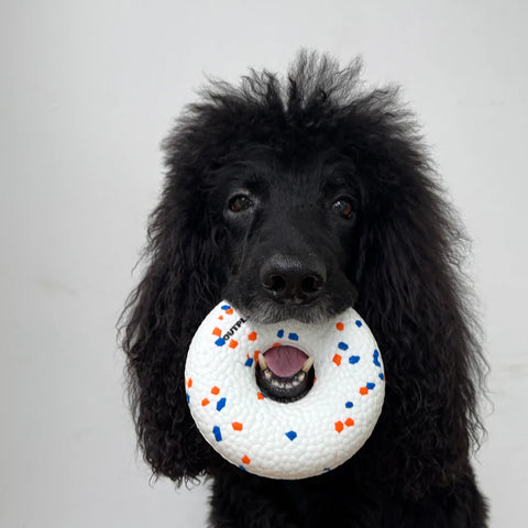 UltraFlex Donut Dog Toy