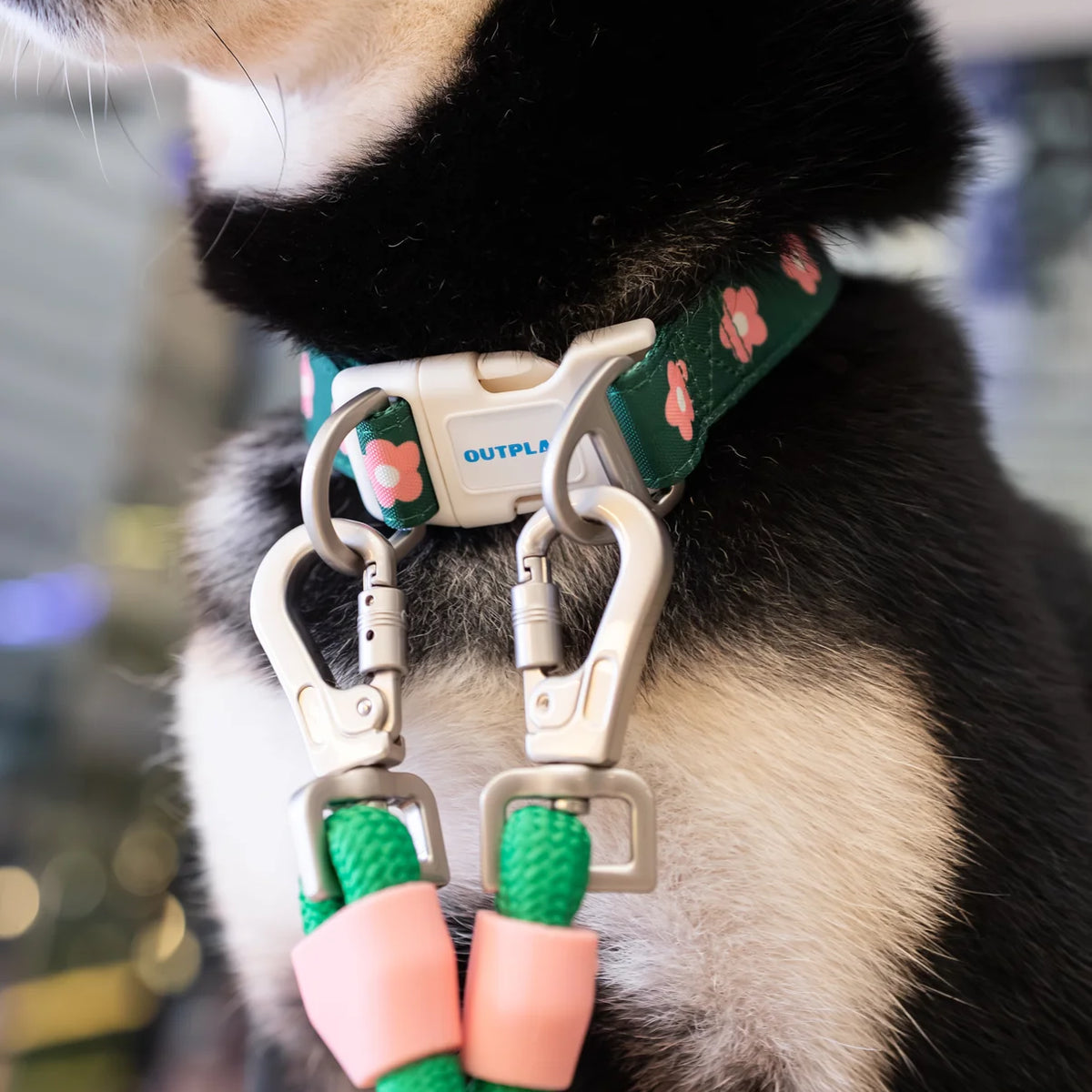 Multifunction Water Resistant Dog Collar