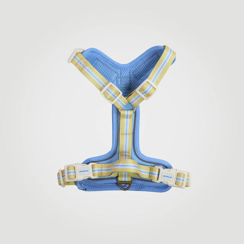 ALIGN Harness