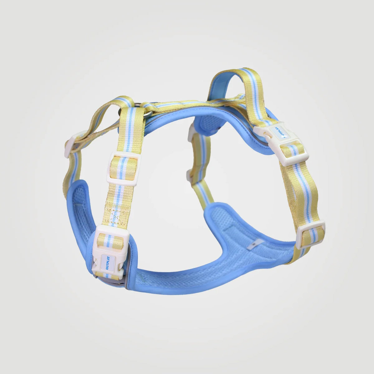ALIGN Harness