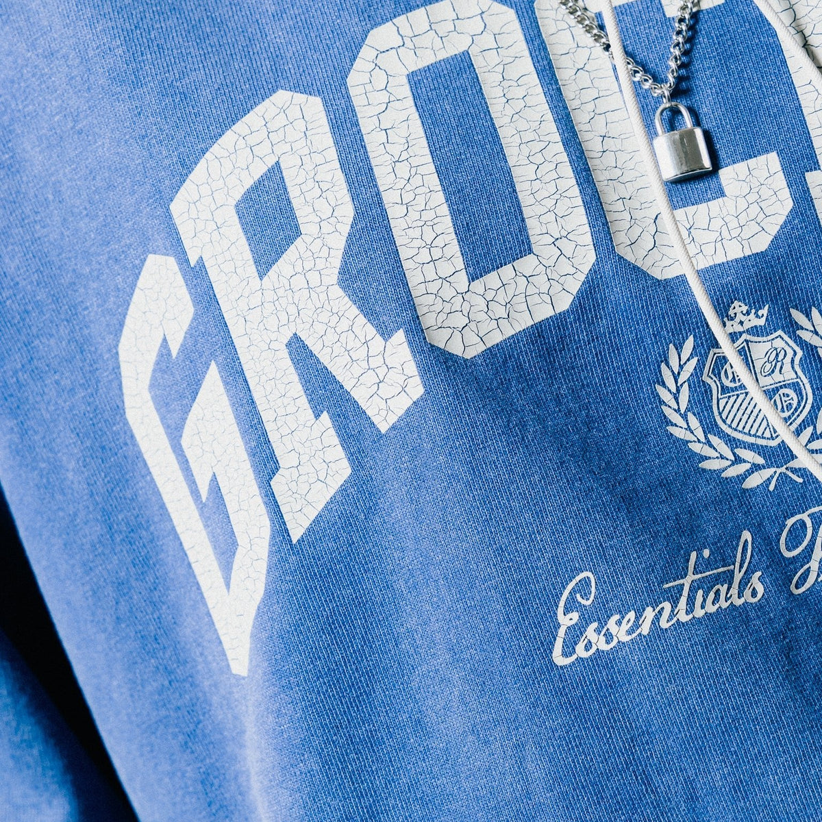 GROCERY VINTAGE COLLEGE LOGO WASHED BOXY TEE/ PURPLE