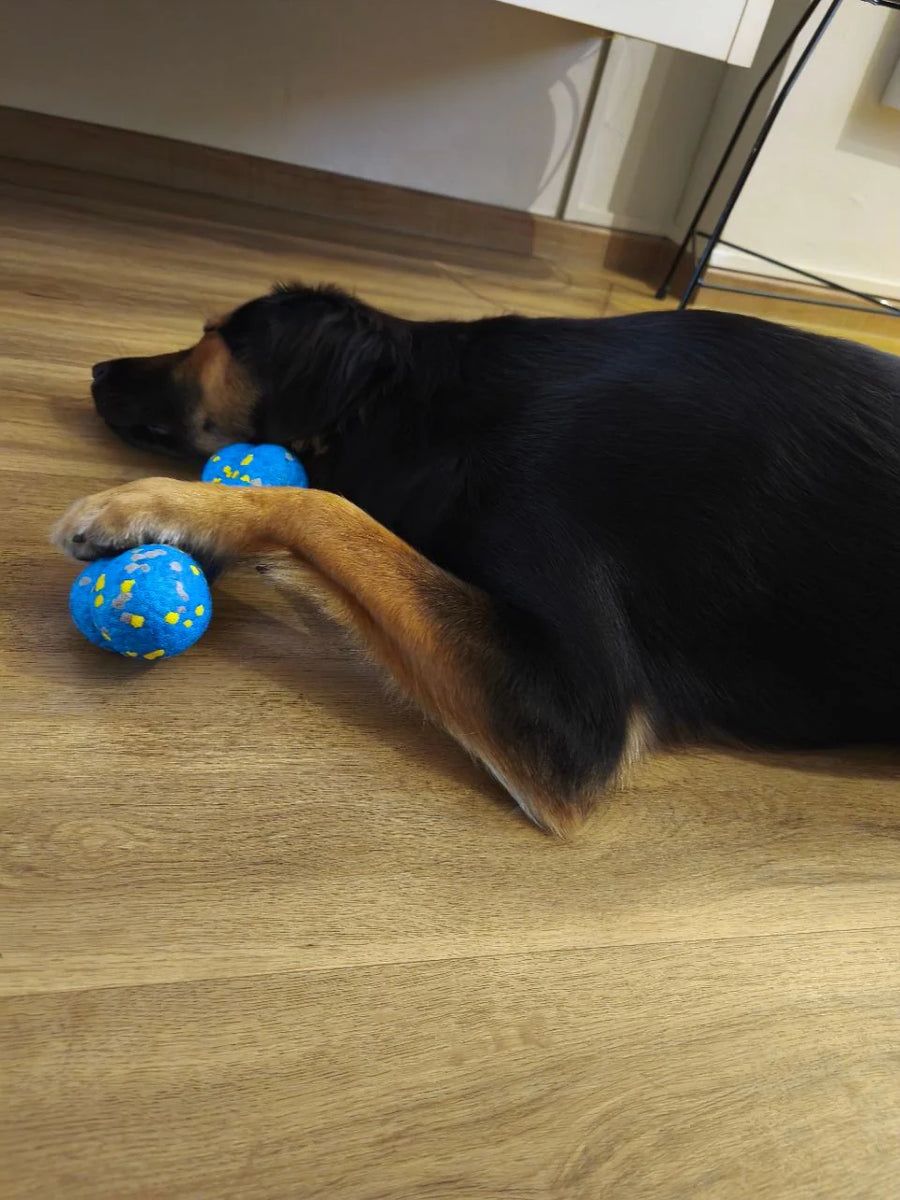 UltraFlex Floatable Dog Bone Toy - Durable & Tough (3 Sizes)
